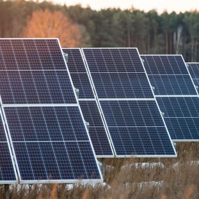 Green energy stocks down following Trump election win