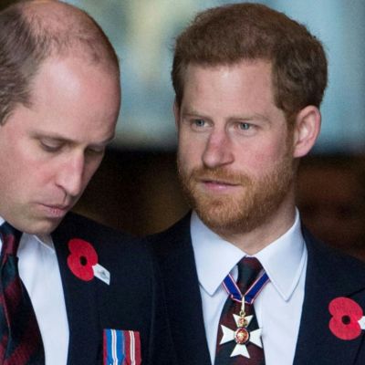 Prince Harry’s prediction about brother Prince William is truly shocking – mum Diana would be heartbroken