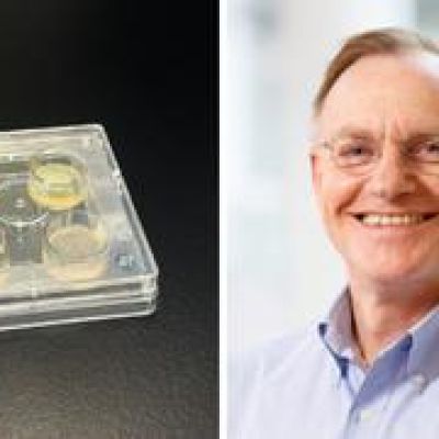 Global strategy to combat drug‑resistant fungi is about to change