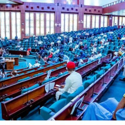 ASUU Strike: Reps move to avert total breakdown in university system