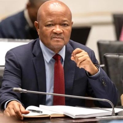 ‘Don’t make me feel guilty,’ Mchunu tells Parliament