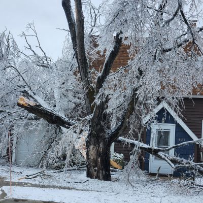 MDOT reminds northern Lower Peninsula residents not to place storm debris in highway right of way