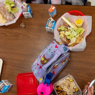 Idaho and Utah among 13 states with Republican governors to opt out of summer food program for kids – East Idaho News