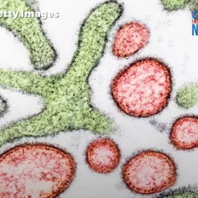 What is Nipah virus?