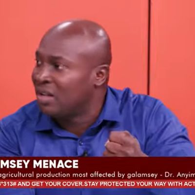 Declare targeted state of emergency to tackle galamsey – Health expert urges President – MyJoyOnline
