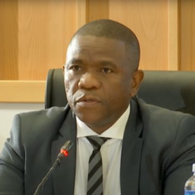 Mkhwanazi: Crime Intelligence funds built wall at Mthethwa’s home