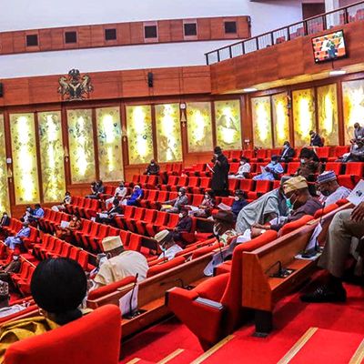 Senate moves to classify kidnapping as terrorism, seeks death penalty for offenders – Businessday NG