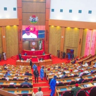 Senate passes State Police Bill: It’s now Federal, State Police Service