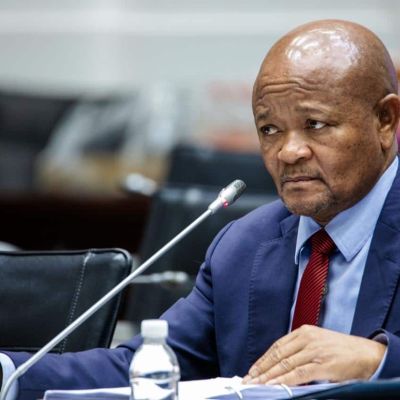 Masemola withheld information regarding PKTT disbandment, Mchunu tells parliament | The Citizen