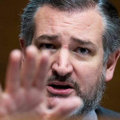 Big gulp: Liberal media freak out as Ted Cruz drinks beer on air, slams alcohol regs