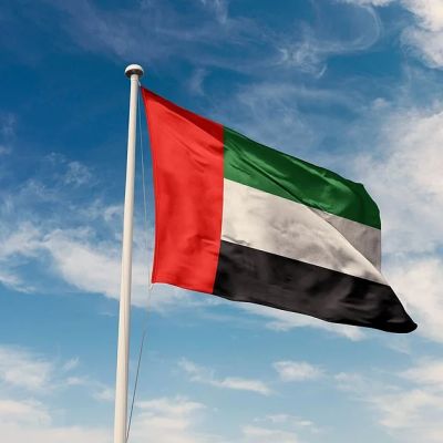 UAE, 7 nations welcome Trump Gaza plan, commit to working with US to end war