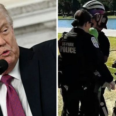 ‘He Did This’: Trump Blames Sabotage After Reflecting Pool Chaos Lands a Former Olympian In Handcuffs — But Critics Say He’s Missing One Thing