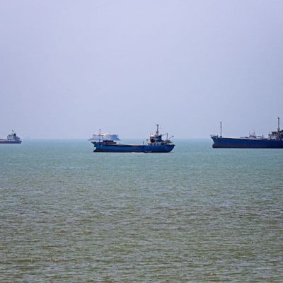 ‘Super-spreader’ at sea? Scientists warn ships stuck in Hormuz could spread invasive species worldwide