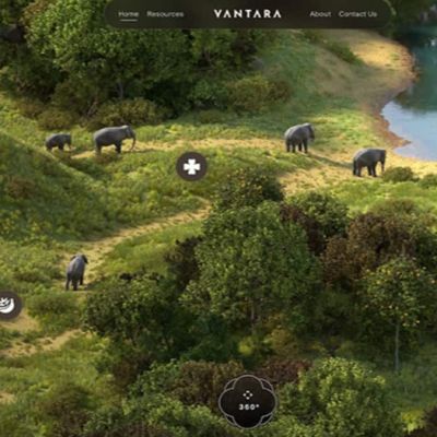 UN-monitored CITES hails world-class animal care at Vantara, praises Indian norms