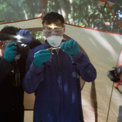 Insight: Amazon rainforest gold mining is poisoning scores of threatened species