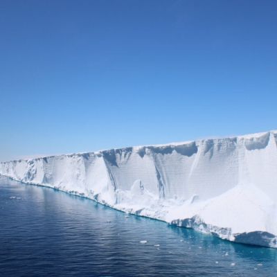 Scientists Went Looking for Shackleton’s Endurance. They found a Hidden Fish City in Perfect Formation Instead