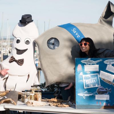 Whalefest Monterey 2025: A celebration of marine life set for April 12-13 | The King City Rustler | Your Local News Source in King City, California