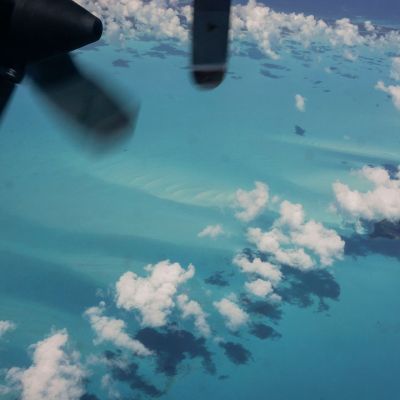 How Donald Trump Seizes the Primal Power of Naming