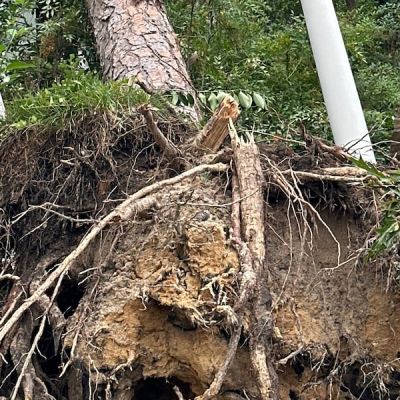 Helene claims an estimated 20 lives in South Carolina, flooding risk grows