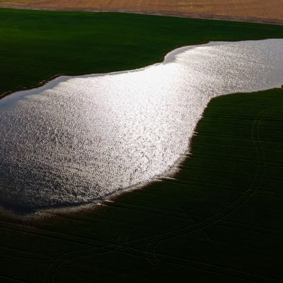 Kentucky farmers hit by one-two punch of trade war, historic floods
