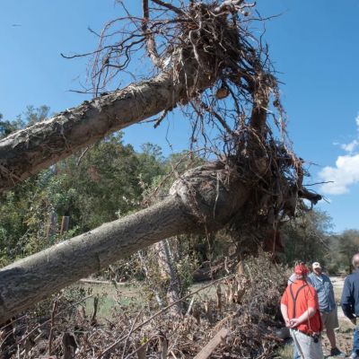 ‘We just need help’: Henderson County farmers hit hard by Helene