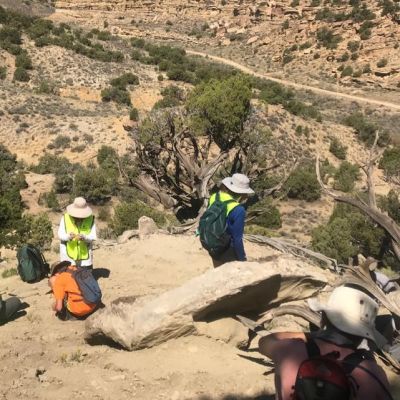 Paleontologists discover new Colorado mammal that lived alongside dinosaurs