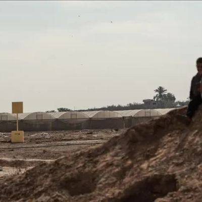 Israeli army committed 194 violations of Gaza ceasefire since Oct. 10: Media office