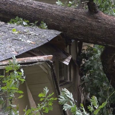 Two injured and several homes damaged after over 100 trees come down in Forest Acres