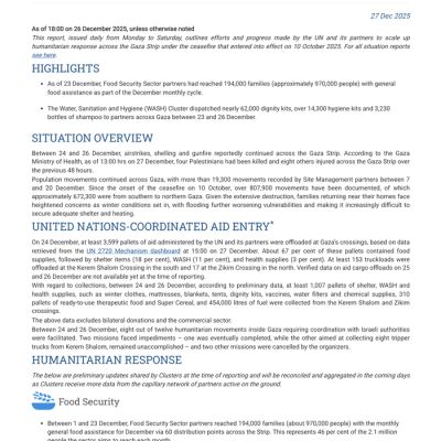 Gaza Humanitarian Response | Situation Report No. 55
