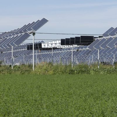 Lawmakers enact controversial bill in attempt to suppress revenue-generating agrivoltaics on farms