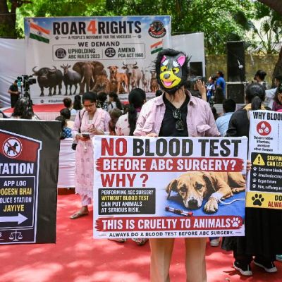 Animal Activists Protest in Delhi Against Community Dog Relocation