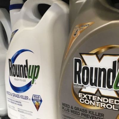 Supreme Court tosses $1.25 million verdict for man who says Roundup caused his cancer | CNN Politics