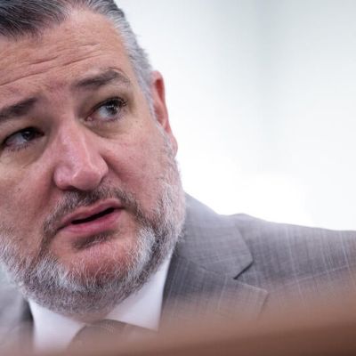 Sen. Ted Cruz calls for Trump to arm Iran's protesters: 