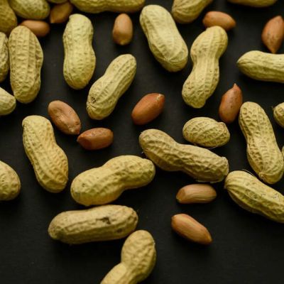 Feed babies ‘peanuts’ early? Philadelphia doctor’s new study says it could reduce allergies by 40 per cent