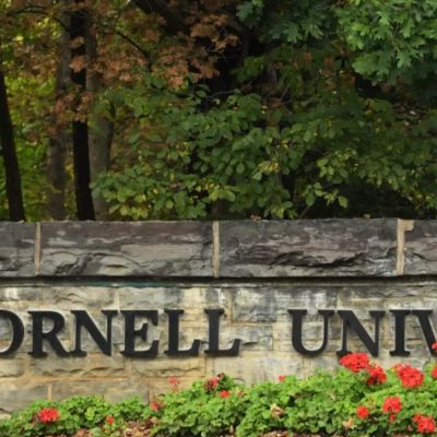 What happened at Cornell University? The allegations, conflicting accounts and probe now underway