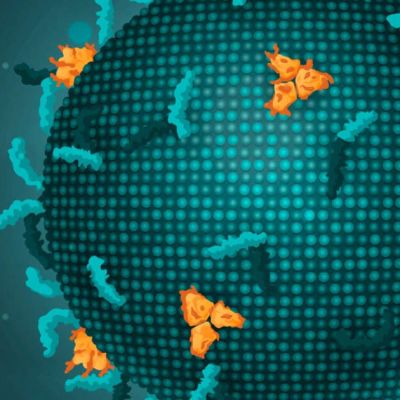 Scientists use AI to create viruses that don’t exist in nature for the first time