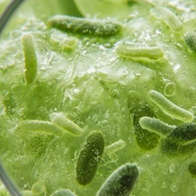 US declares end of largest recorded cyclosporiasis outbreak