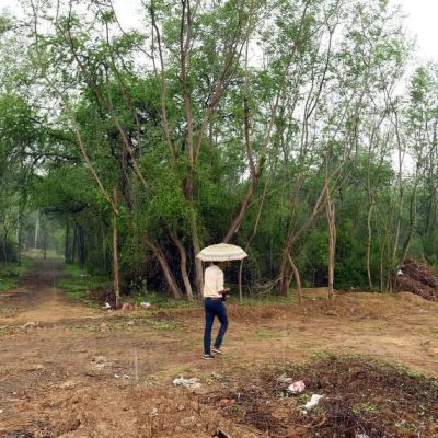 Raidurg land auction sets record as Telangana earns Rs 3,135 crore from two plots