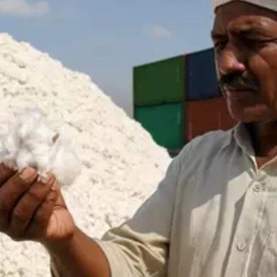 Govt in ‘advanced stage of consultation’ on industry’s demand for cotton import duty removal