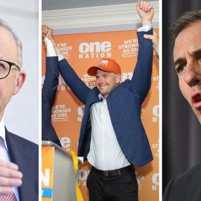 ‘Dangerous’: Labor launches blistering attack on One Nation