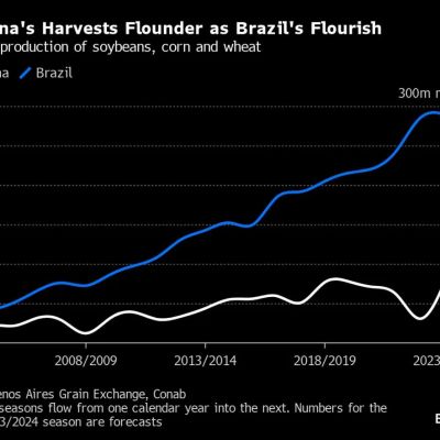 On Argentina’s Pampas, Farmers Are All In on Libertarian Milei