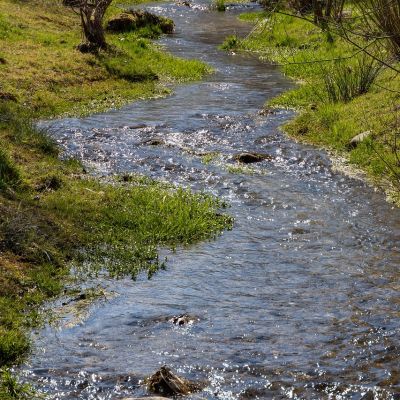 Nitrate levels decrease in 39% of river sites but ‘too high’ in 44%