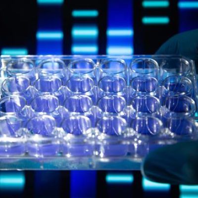 Strong Cresemba (isavuconazole) sales performance in Asia Pacific and China triggers milestone payment to Basilea