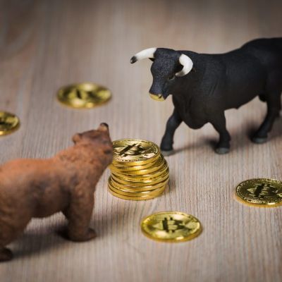 No Whale Buying Signal in Bitcoin: Galaxy Digital Predicts How Much Further the Price Could Fall