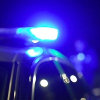 Baby dies after dog attack at home in Monmouthshire