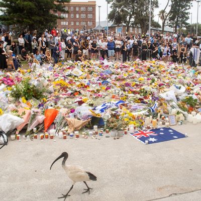 Australia set to pass tougher laws on guns, hate crimes after Bondi shooting – BusinessWorld Online