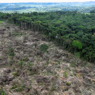 Can Brazil save the Amazon rainforest? Marina Silva is trying