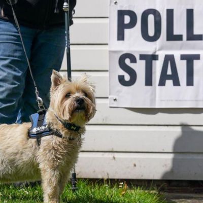 Staffordshire voters head to local election polls
