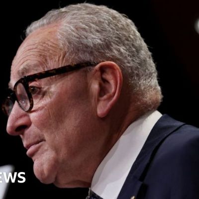 US Democrats still face big questions, despite election wins