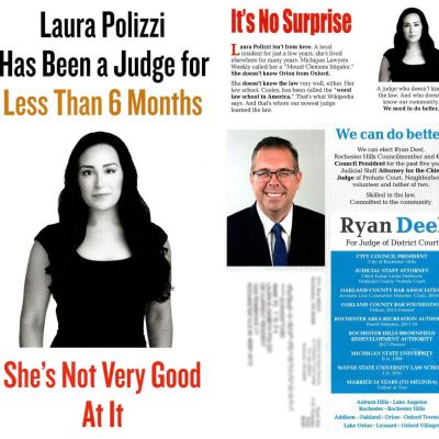 Rubin: In a judicial race, throwing the book at a nasty campaign mailer